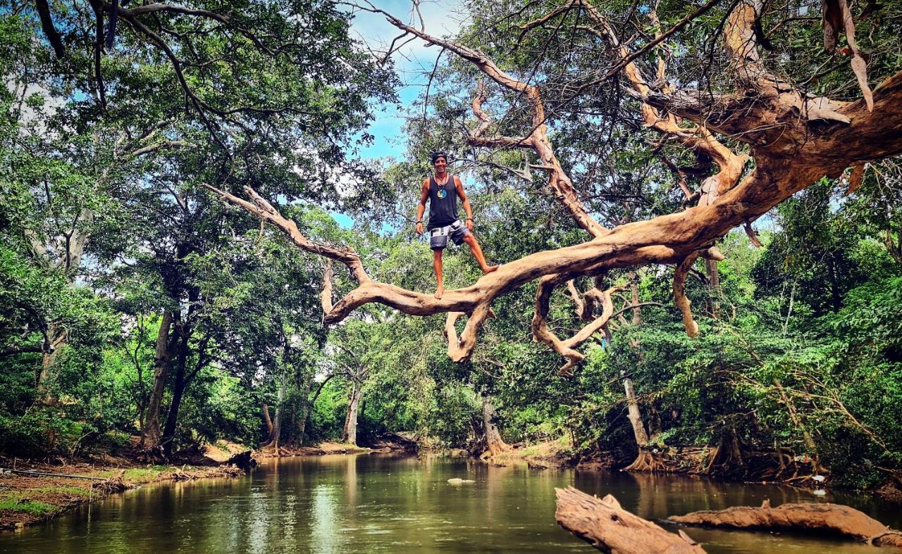 Humbhaha jungle nature eco resort Kataragama Exterior foto