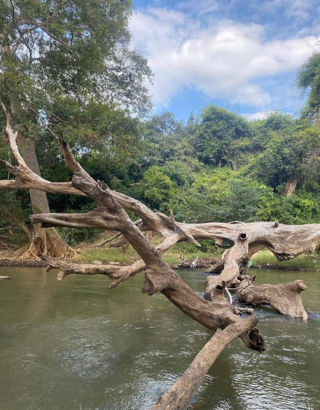 Humbhaha jungle nature eco resort Kataragama Exterior foto
