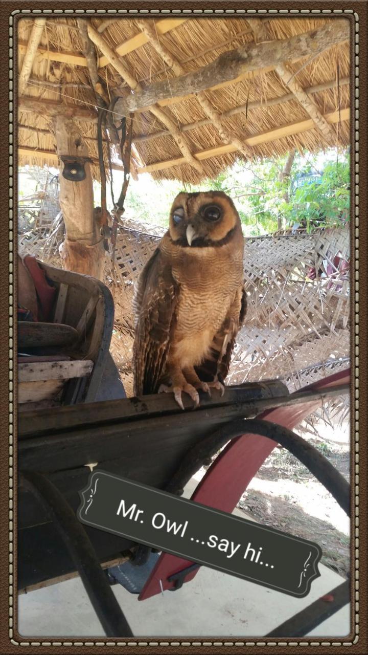 Humbhaha jungle nature eco resort Kataragama Exterior foto