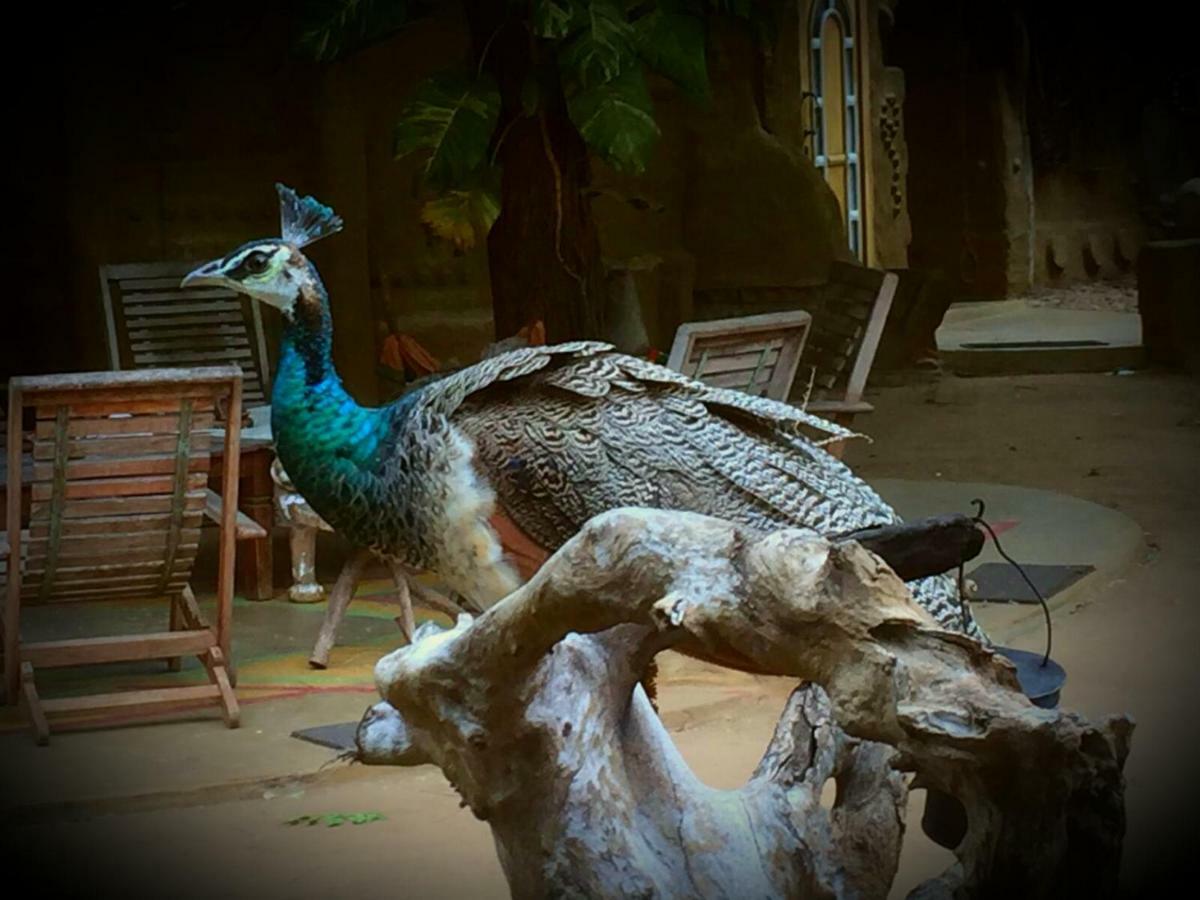 Humbhaha jungle nature eco resort Kataragama Exterior foto